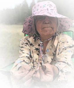 Xaȼqanaǂ ʔitkiniǂ Research Project Advisory Committee member Laura Birdstone teaching community members how to peel Bitterroot, remove the heart and return it to the earth.